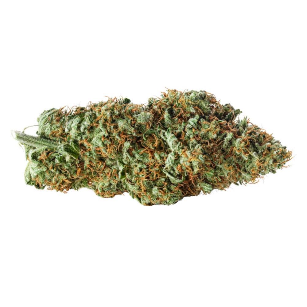 Lilac Diesel